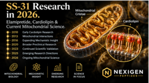 SS-31 research 2026 graphic showing cardiolipin, mitochondrial membrane research and current elamipretide scientific directions