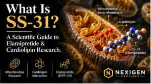 SS-31 elamipretide scientific graphic showing mitochondrial inner membrane, cardiolipin and tetrapeptide research